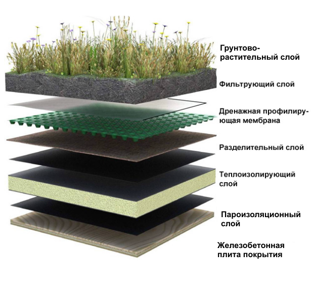 чертеж эксплуатируемой кровли