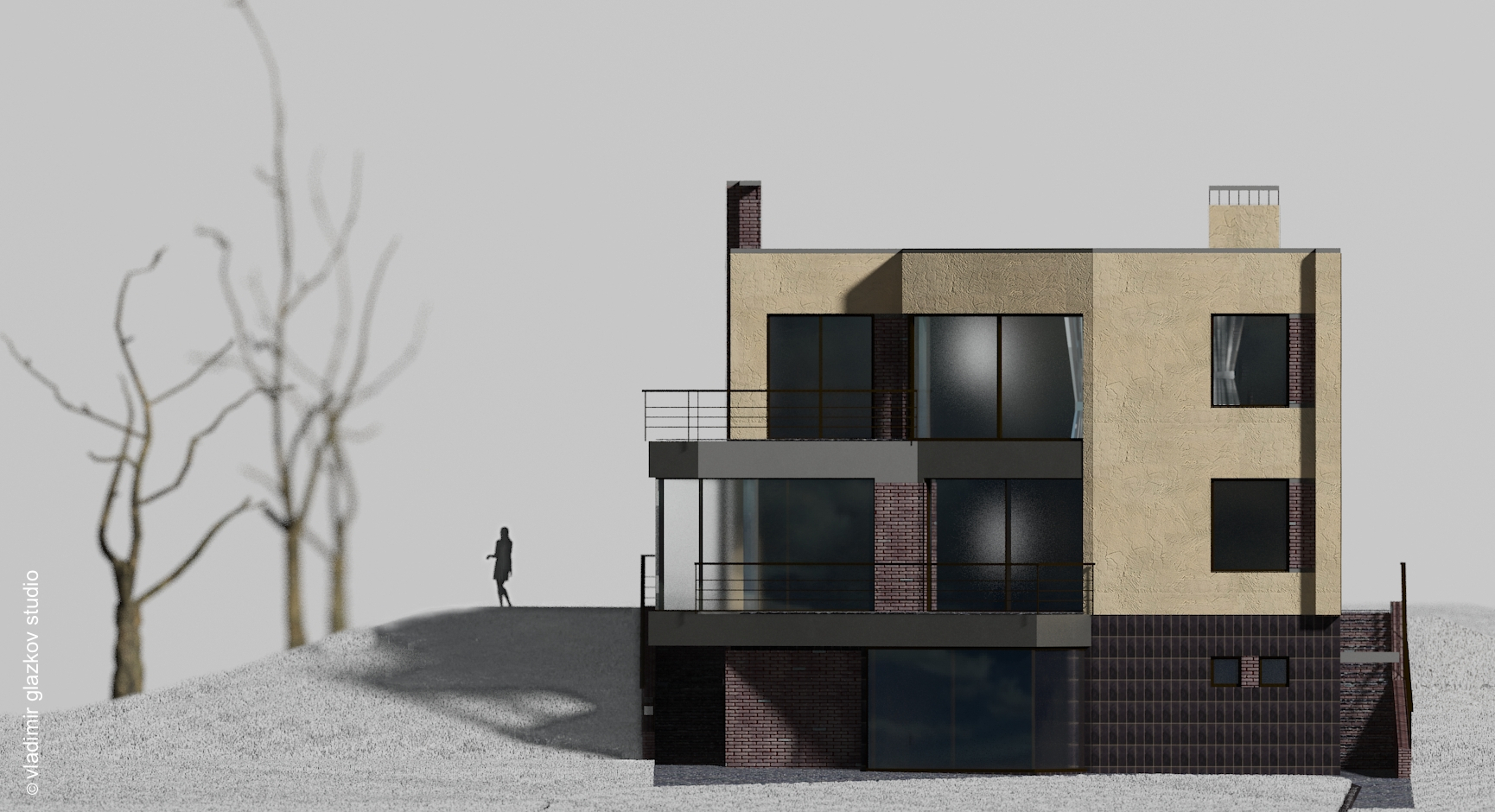 Дворовой фасад; вариант отделки 2; Северн - проект дома с плоской кровлей и террасами на склоне